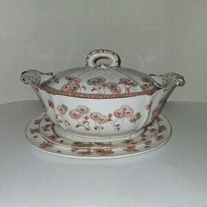 Furnivals Victorian Daisy Covered Transferware Handpainted Soup Tureen 1892-1913
